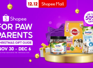 Here Are The Best Christmas Gifts To Give Paw Parents