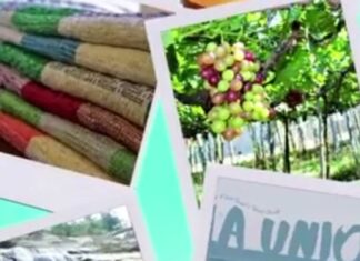 GET READY FOR LOVE LA UNION DIGITAL TRAVEL AND TOURISM EXPO! MARCH 15-APRIL 15 2021