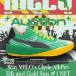 LaMelo Ball auction