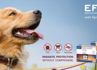 Virbac brings to PH spot on topical solution Effitix for prevention of external parasites in pet dogs
