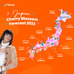 Japan Cherry Blossom Forecast 2023