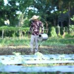 Jollibee Group Foundation Supports Ilocos Sur Farmer Group to Become Agro-Entrepreneurs 1