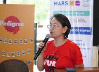 Mars Philippines Celebrates How Pet Adoption Can Change Two Lives